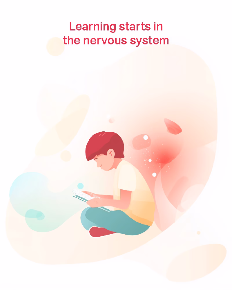 When learning starts in the nervous system