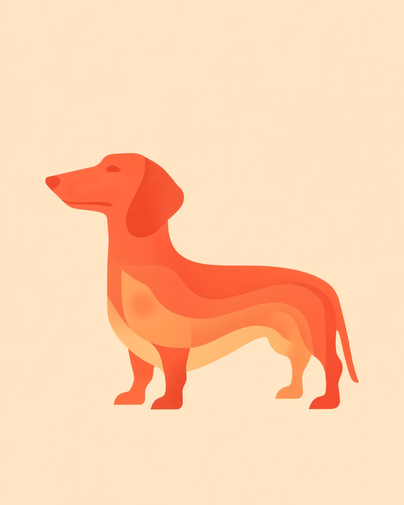 Different Depths of Healing: How Red Light Therapy May Support Wound Healing in Dogs
